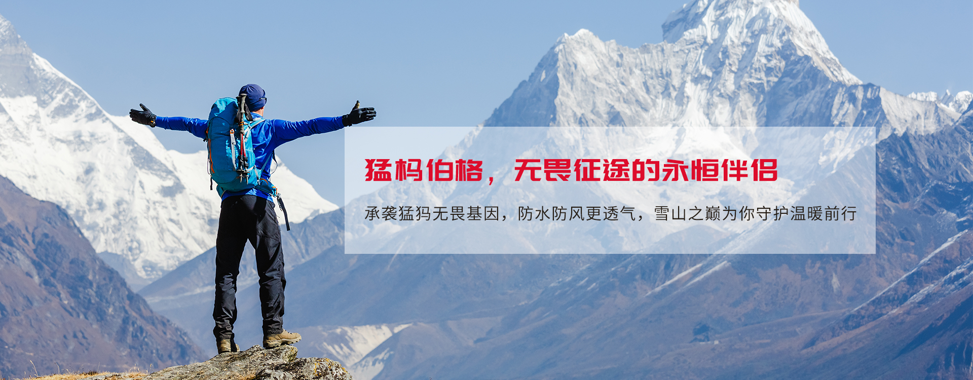 通栏图片